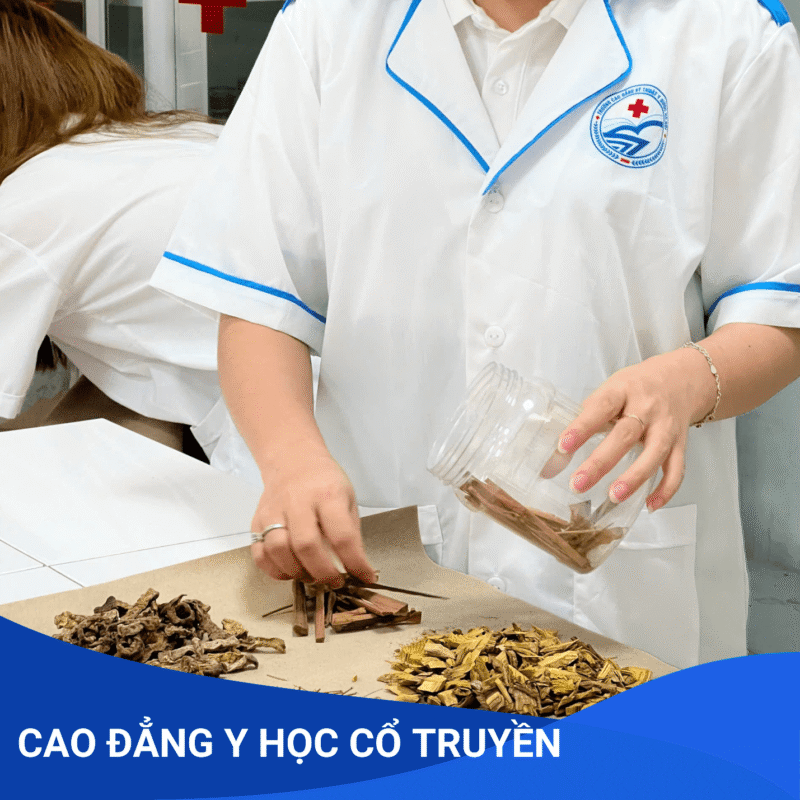 Đẩy mạnh phát triển Y học cổ truyền Việt Nam – Cơ hội học tập & nghề nghiệp rộng mở tại Trường Trung cấp MPT 8 1 1