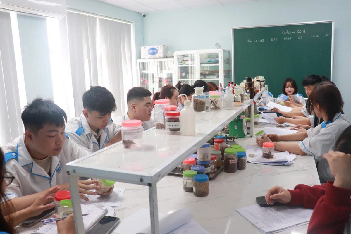 Tiềm năng và cơ hội của ngành Dược học hiện nay 1 658350450 979848717892309 508555190039674054 n